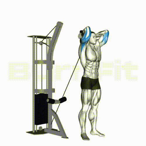 Cable Overhead Tricep Extension